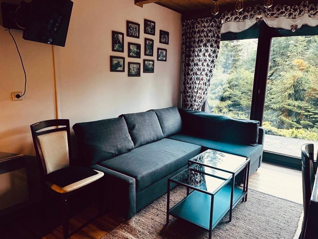 Appartamento Butorowy Cichy Potok Kościelisko Esterno foto