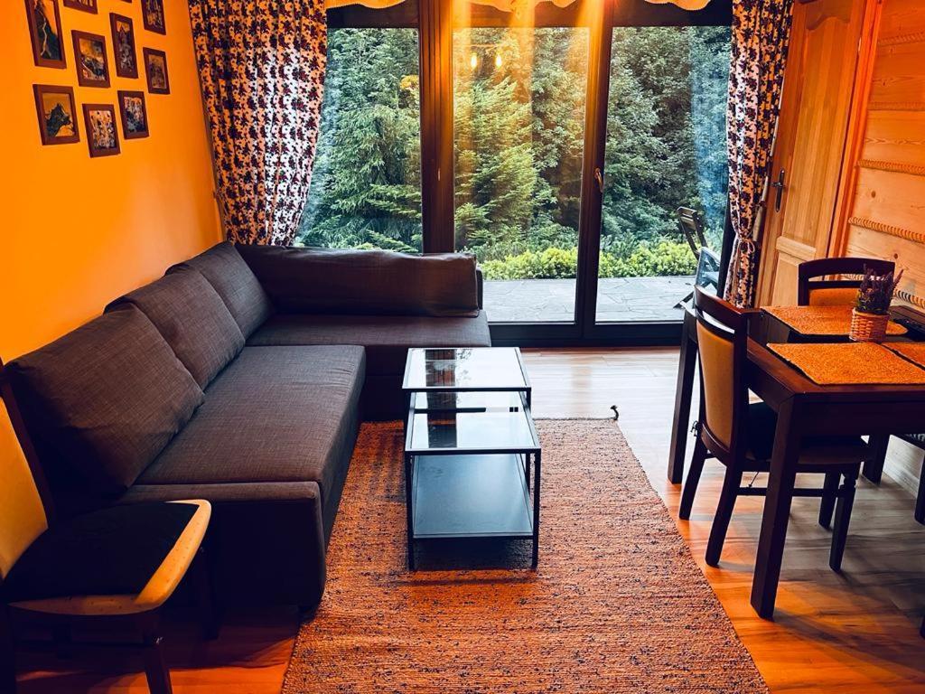 Appartamento Butorowy Cichy Potok Kościelisko Esterno foto